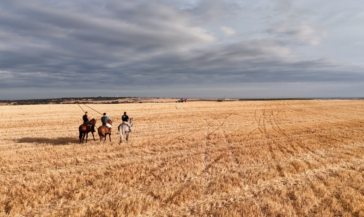 Vista aerea de campo castellano desde dron